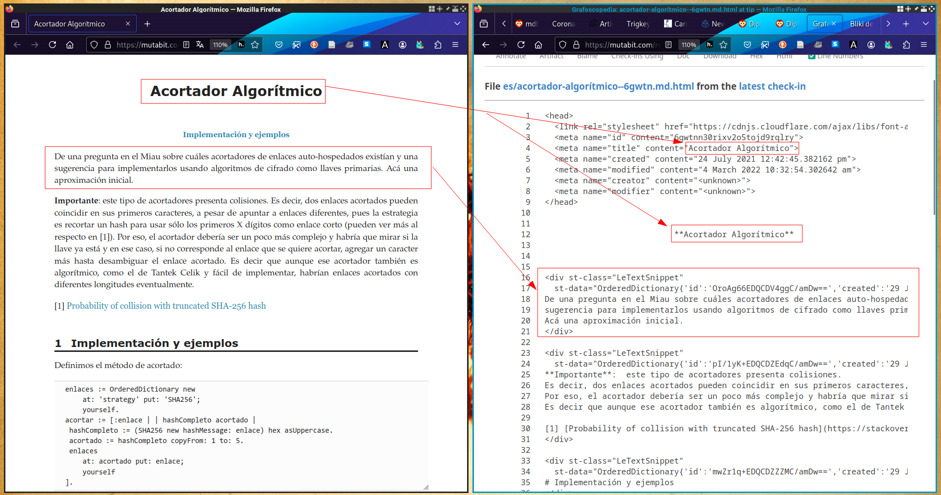 Captura comparando una página html con la representación en el repositorio